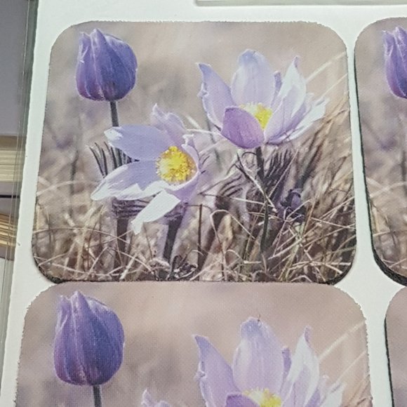 Vintage Canadian Art Coasters Crocus (Horst Baender) Moose Jaw Flowers Artwork - Picture 3 of 9